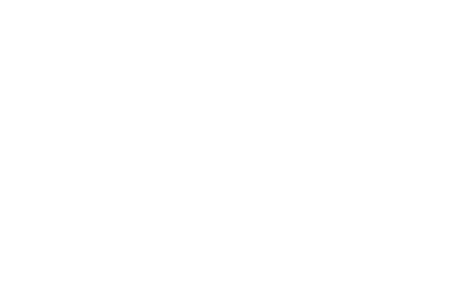 logo bory français